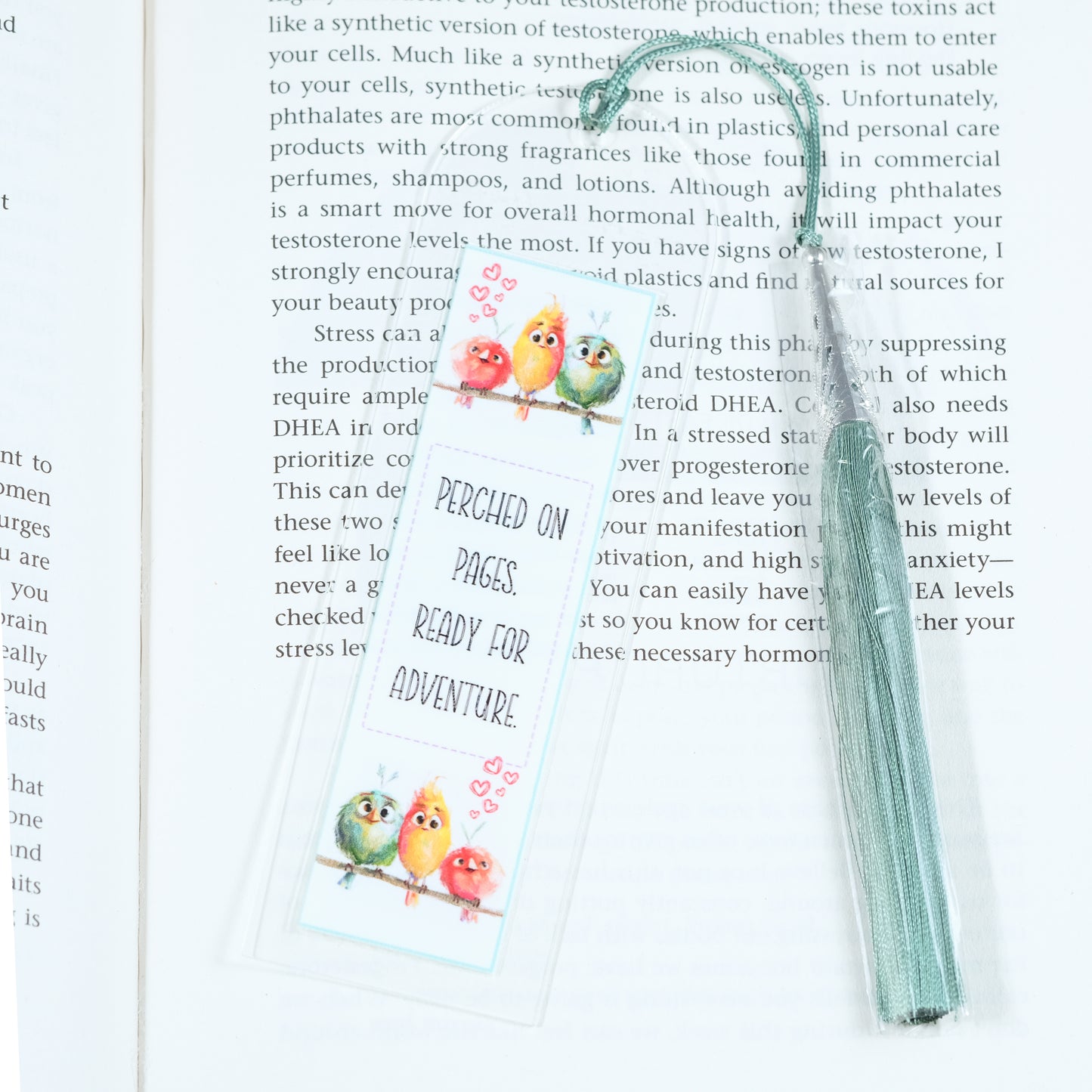 Acrylic bookmark with cute cartoon birds and inspirational quote 'Perched on pages. Ready for adventure'. Perfect gift for book lovers. Durable, lightweight design from Georgie's Grove