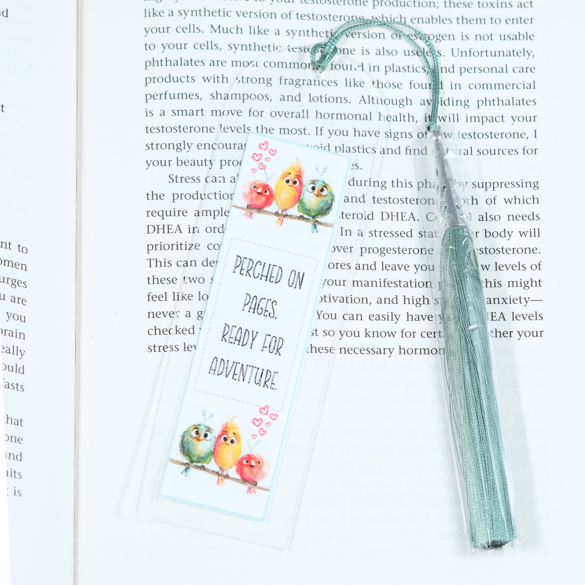 Acrylic bookmark with cute cartoon birds and inspirational quote 'Perched on pages. Ready for adventure'. Perfect gift for book lovers. Durable, lightweight design from Georgie's Grove