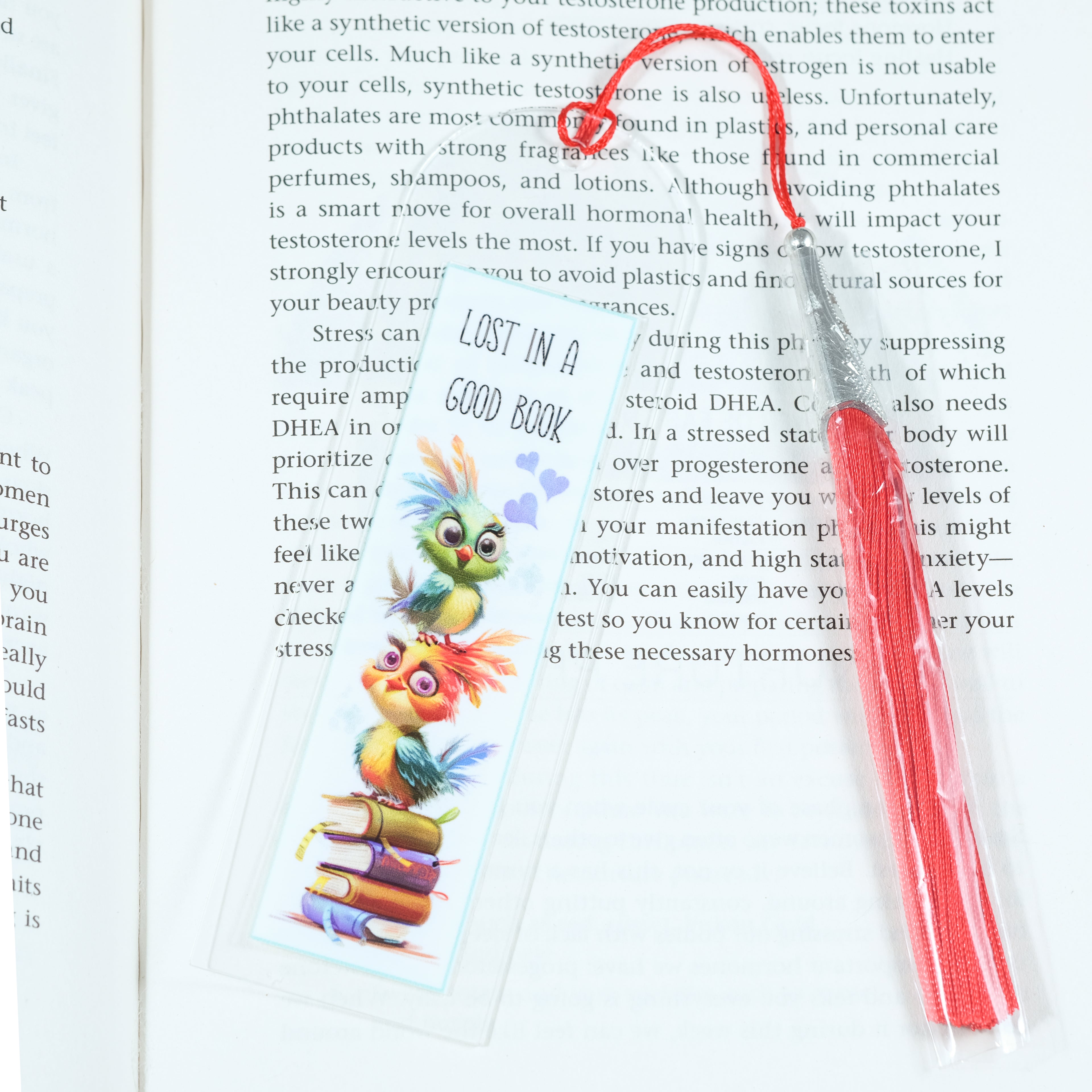 Acrylic bookmark with cute cartoon birds and inspirational quote 'Lost in a good book'. Perfect gift for book lovers. Durable, lightweight design from Georgie's Grove