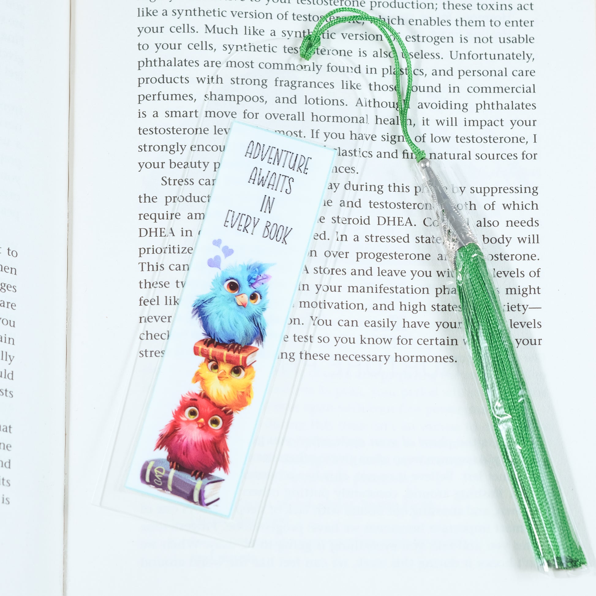 Acrylic bookmark with cute cartoon birds and inspirational quote 'Adventure awaits in every book'. Perfect gift for book lovers. Durable, lightweight design from Georgie's Grove