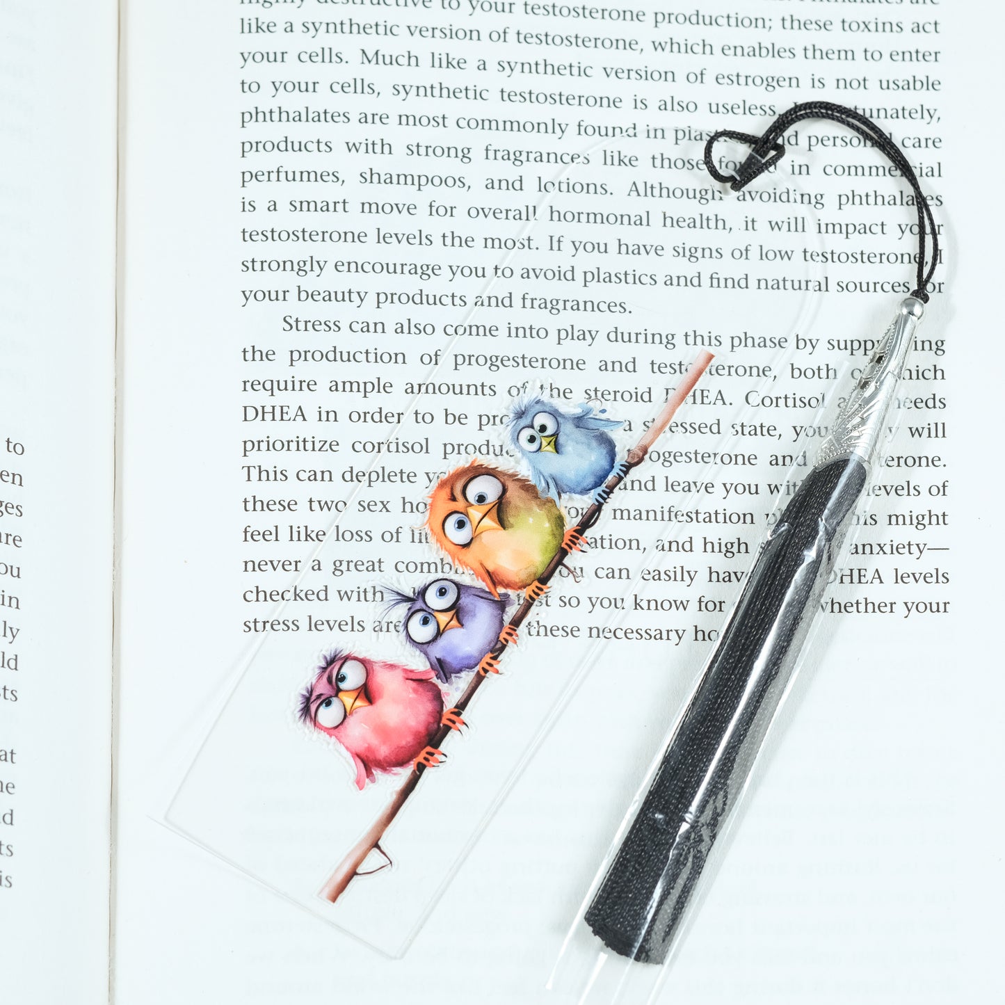 Add a splash of whimsy to your reading with this delightful Crazy Birds on a Branch acrylic bookmark! Featuring a playful design of quirky, characterful birds perched along a branch, this bookmark brings personality and charm to every page you turn.