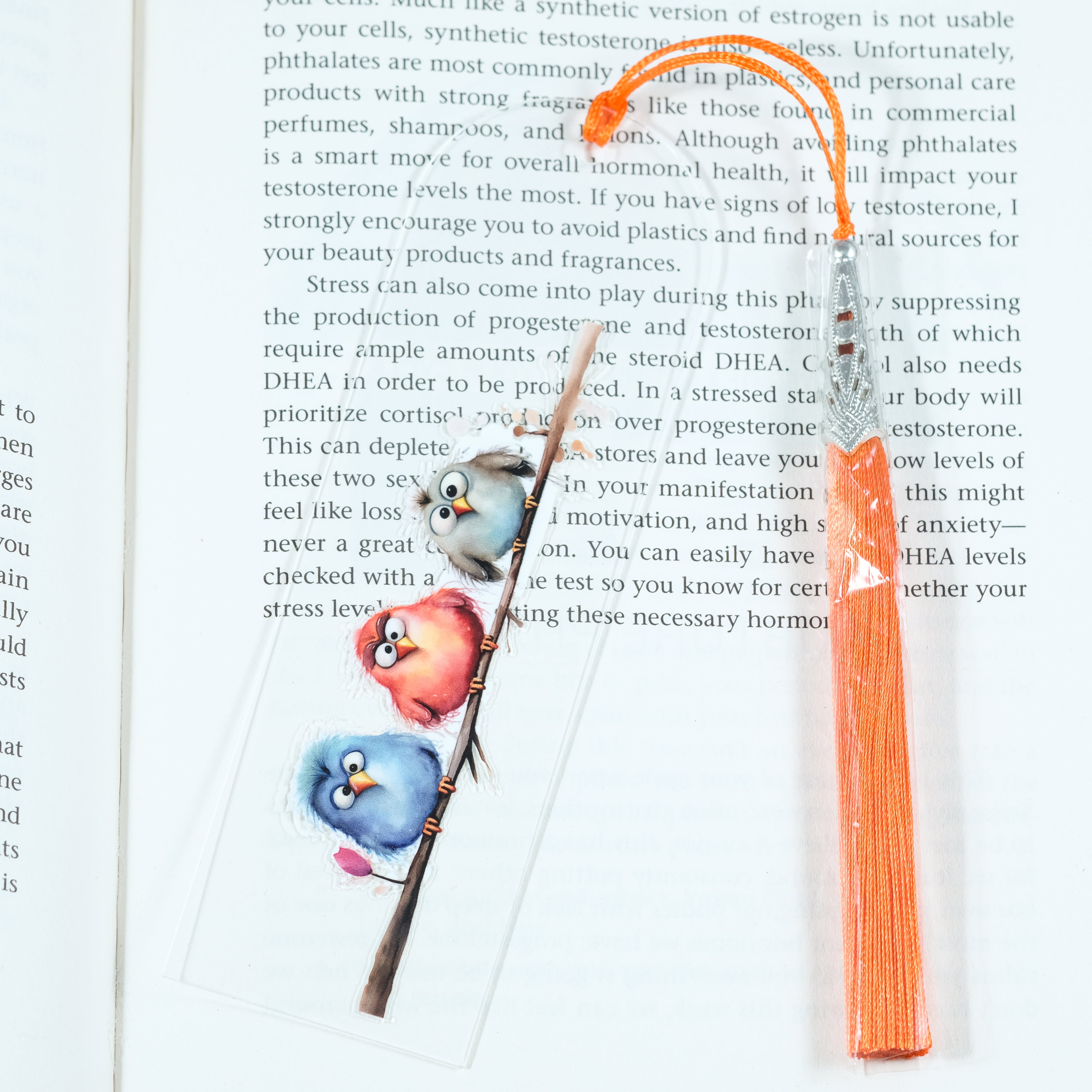 Add a splash of whimsy to your reading with this delightful Crazy Birds on a Branch acrylic bookmark! Featuring a playful design of quirky, characterful birds perched along a branch, this bookmark brings personality and charm to every page you turn.