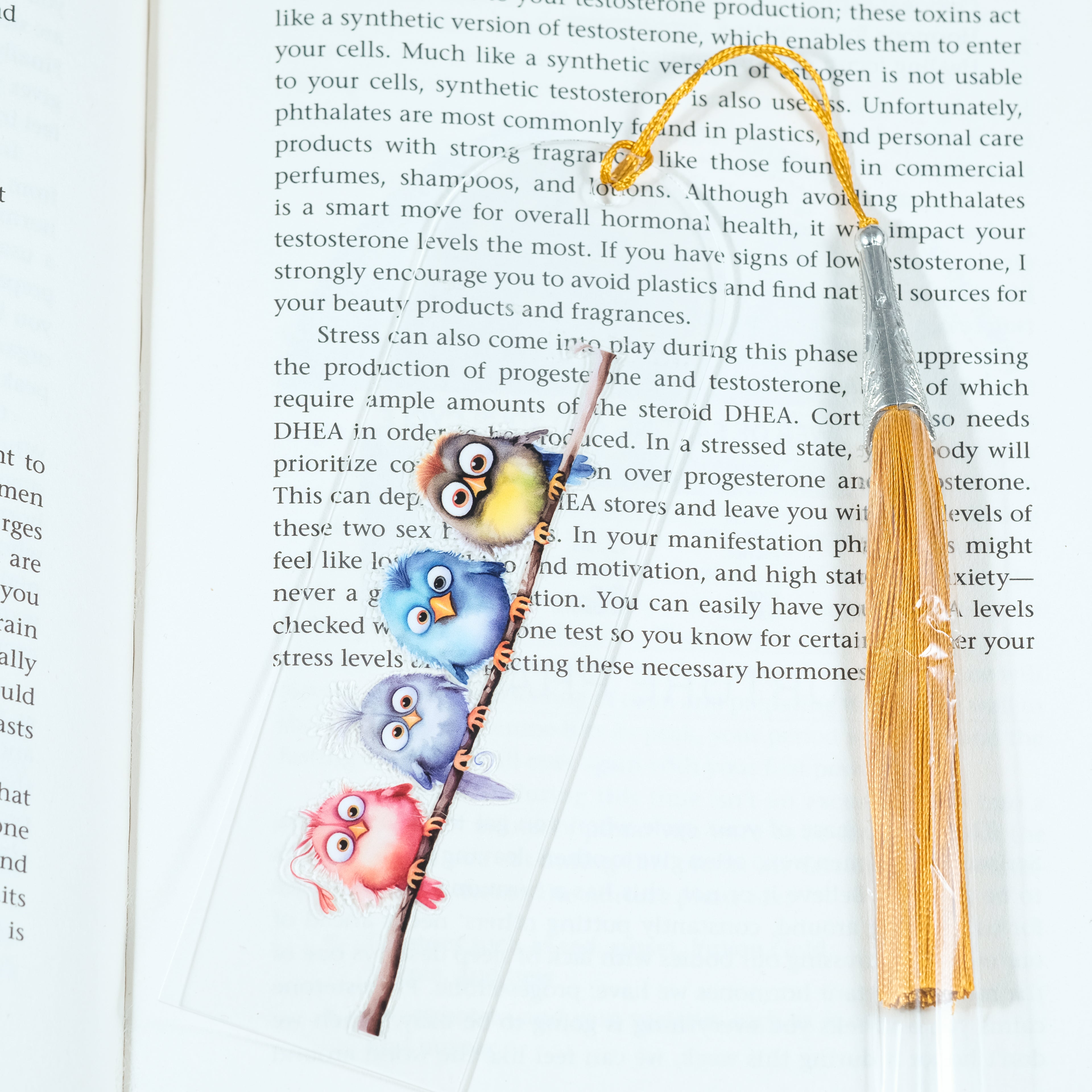 Add a splash of whimsy to your reading with this delightful Crazy Birds on a Branch acrylic bookmark! Featuring a playful design of quirky, characterful birds perched along a branch, this bookmark brings personality and charm to every page you turn.