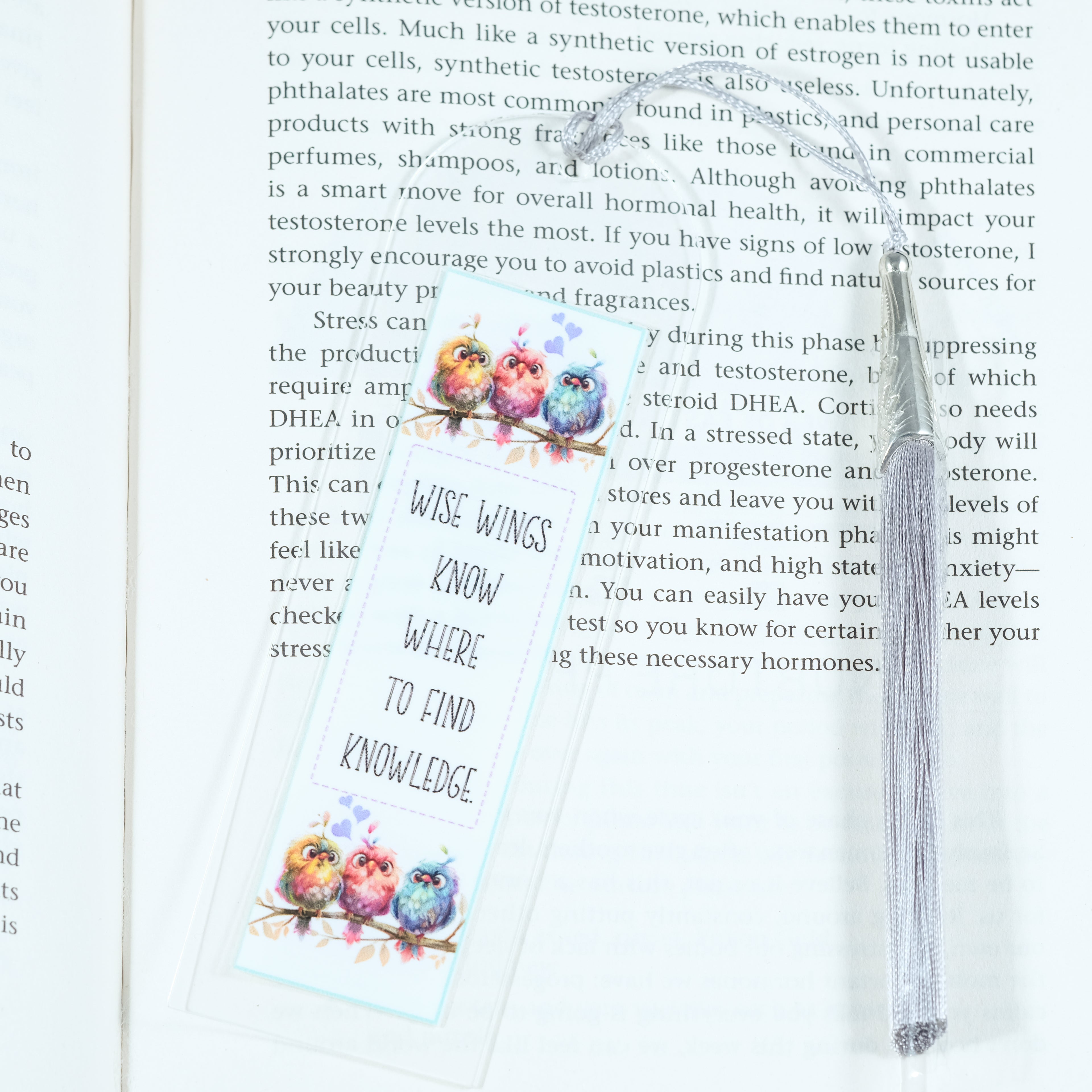 Acrylic bookmark with cute cartoon birds and inspirational quote 'Wise wings know where to find knowledge'. Perfect gift for book lovers. Durable, lightweight design from Georgie's Grove